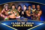 Watch WWE Hall of Fame 123movies