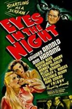 Watch Eyes in the Night 123movies