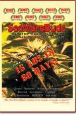 Watch SeeMoreBuds: Vol. 1 123movies