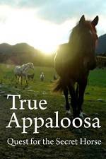 Watch True Appaloosa 123movies