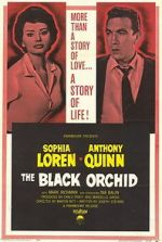 Watch The Black Orchid 123movies