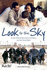 Watch Look to the Sky 123movies