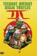 Watch Teenage Mutant Ninja Turtles III 123movies