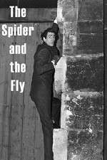Watch The Spider and the Fly 123movies