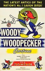 Watch The Woody Woodpecker Polka 123movies
