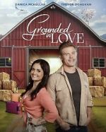 Watch Grounded in Love 123movies