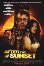 Watch After the Sunset 123movies