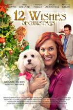 Watch 12 Wishes of Christmas 123movies
