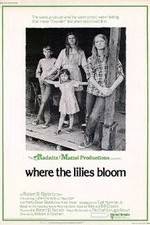 Watch Where the Lilies Bloom 123movies