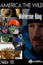 Watch National Geographic Wild America the Wild Wolverine King 123movies