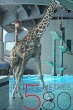 Watch 580 mètres 123movies