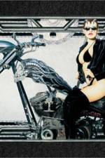 Watch Run Angel Run 123movies