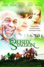 Watch The Derby Stallion 123movies