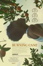 Watch Burning Cane 123movies