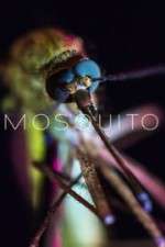 Watch Mosquito 123movies