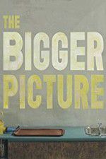 Watch The Bigger Picture 123movies