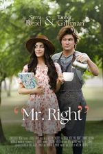 Watch Mr. Right 123movies