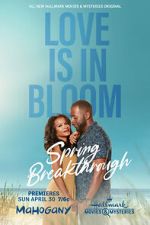 Watch Spring Breakthrough 123movies
