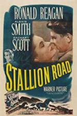 Watch Stallion Road 123movies