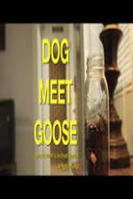 Watch Dog Meet Goose 123movies