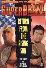 Watch WCW SuperBrawl I 123movies