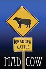 Watch Mad Cow 123movies