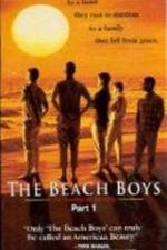 Watch The Beach Boys An American Family 123movies