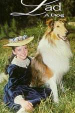 Watch Lad A Dog 123movies