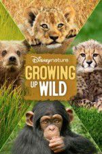 Watch Growing Up Wild 123movies