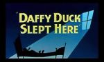 Watch Daffy Duck Slept Here (Short 1948) 123movies