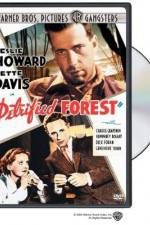 Watch The Petrified Forest 123movies