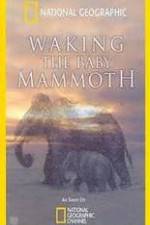Watch Waking the Baby Mammoth 123movies