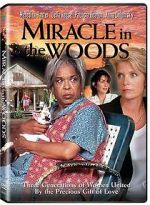 Watch Miracle in the Woods 123movies