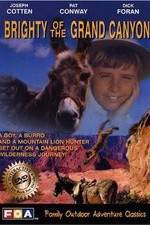 Watch Brighty of the Grand Canyon 123movies
