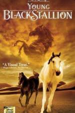 Watch The Young Black Stallion 123movies