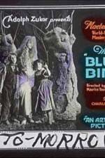 Watch The Blue Bird 123movies
