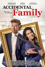 Watch Accidental Family 123movies