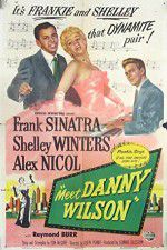 Watch Meet Danny Wilson 123movies