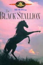 Watch The Black Stallion 123movies