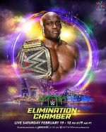 Watch WWE Elimination Chamber (TV Special 2022) 123movies