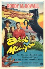Watch Black Midnight 123movies