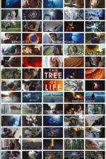 Watch The Tree of Life 123movies