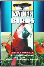 Watch PBS Nature - Extraordinary Birds 123movies