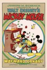 Watch The Wayward Canary 123movies