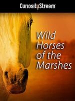 Watch Wild Horses of the Marshes 123movies