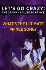 Watch Let\'s Go Crazy: The Grammy Salute to Prince 123movies