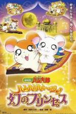 Watch Hamtaro: The Captive Princess 123movies