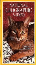 Watch Cats: Caressing the Tiger 123movies