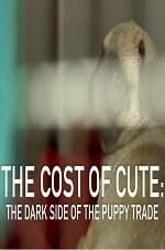 Watch The Cost of Cute: The Dark Side of the Puppy Trade 123movies