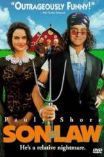 Watch Son in Law 123movies